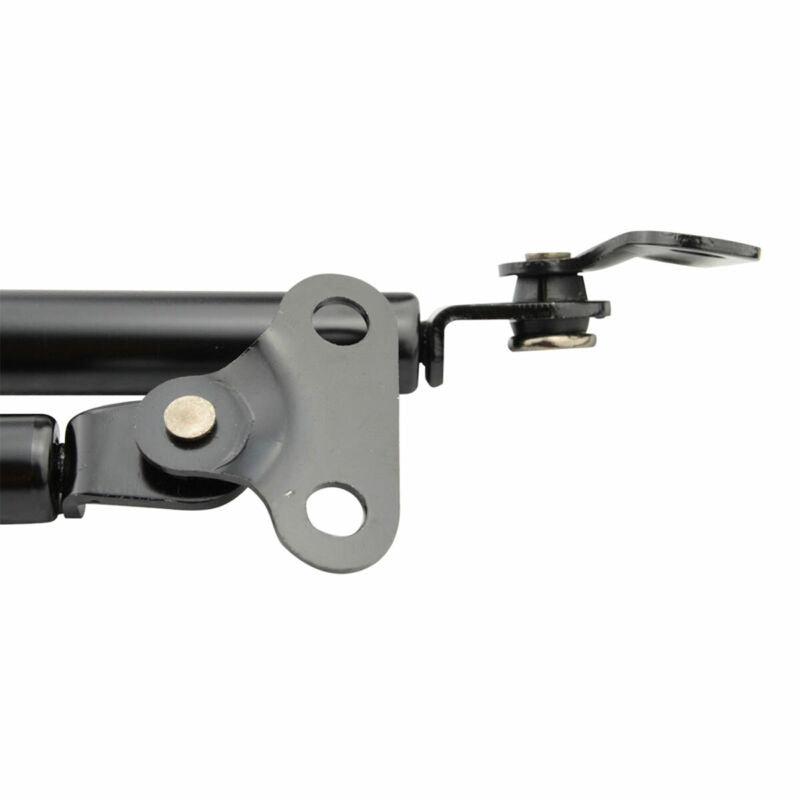 Tailgate Struts (Pair) - Suitable for use with 100 Series LandCruiser
